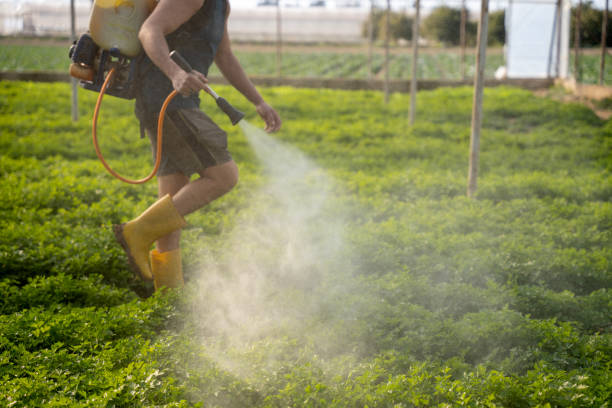 Best Pest Control for Homes  in Middleburg, FL