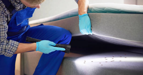 Best Cockroach Control Services  in Middleburg, FL