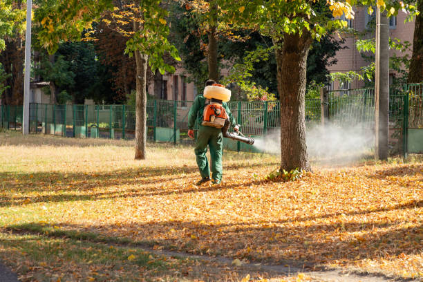 Trusted Middleburg, FL Pest Control Experts