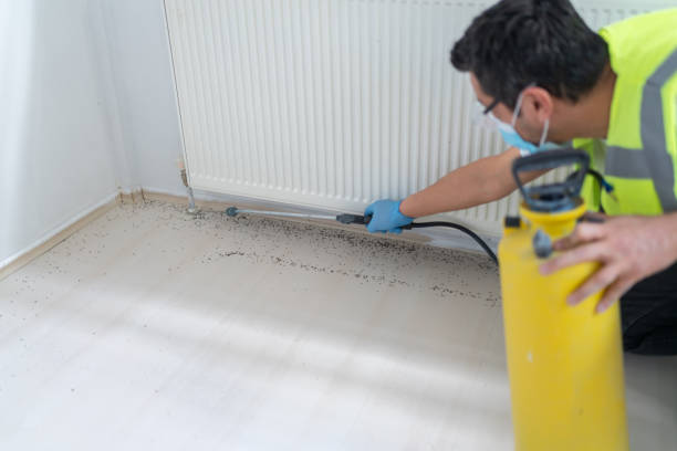 Best Best Pest Control Near Me  in Middleburg, FL